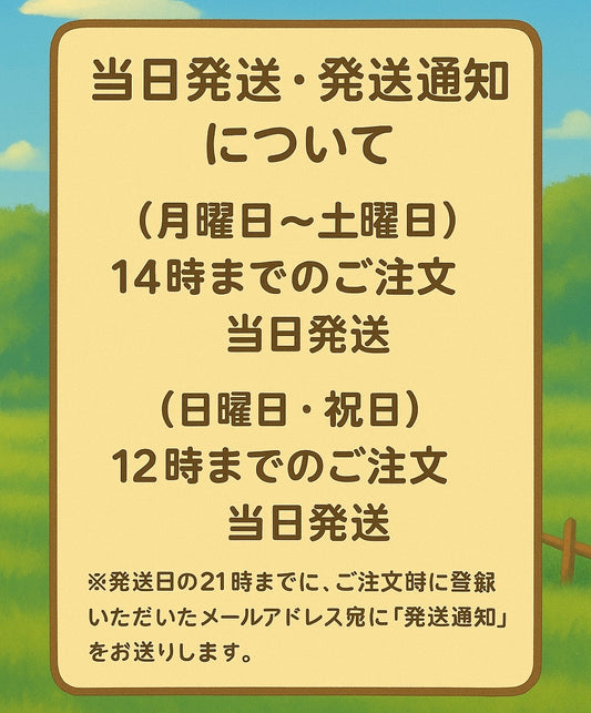 当日発送・発送通知について